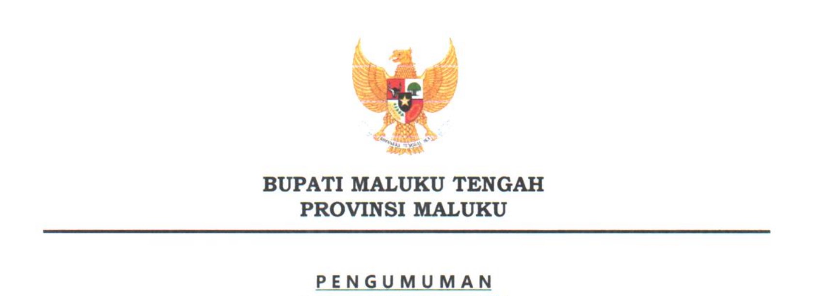 Pengumuman Seleksi PPPK Tahun 2024